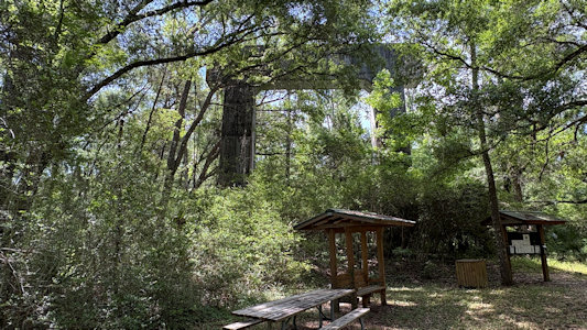 State Park Image
